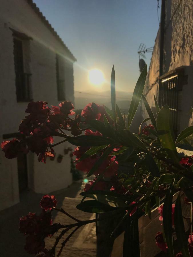 Benalauría Casa Moraleda旅馆 外观 照片